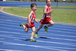 2017-11-26 001 136 (640x427)